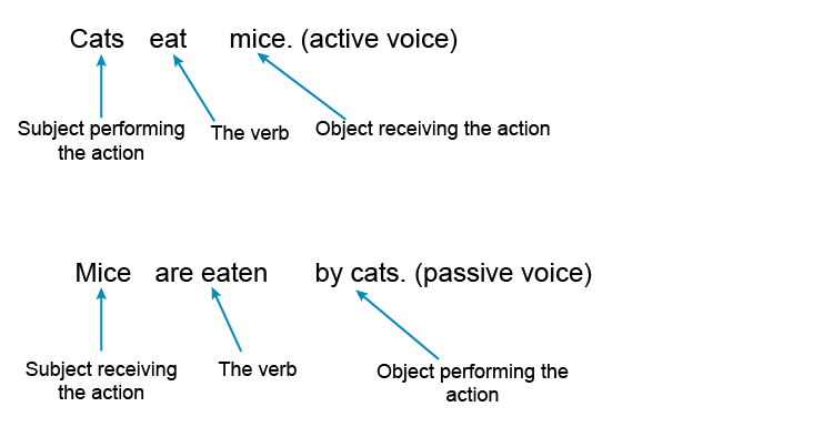 Active voice: The subject performs the action stated by the verb, Passive voice: The subject receives the verb’s action
